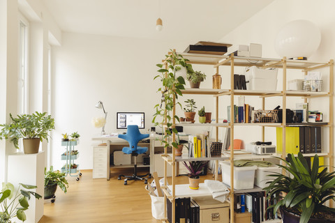 Heimbüro mit Regal und Pflanzen in einem modernen Gebäude, lizenzfreies Stockfoto