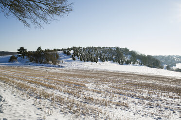 Deutschland, Nordrhein-Westfalen, Eifel, Winterlandschaft am Kalvarienberg - MYF000820