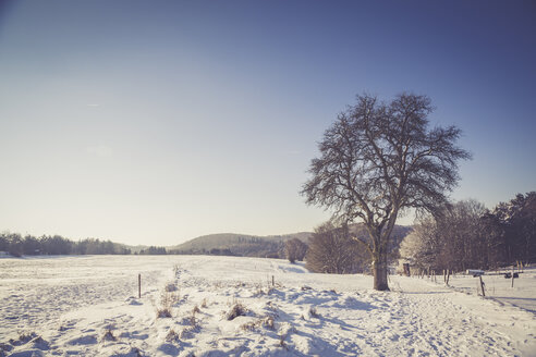 Deutschland, Landkreis Kaiserslautern, Pfälzerwald, Winterlandschaft bei Trippstadt - LVF002538