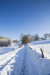 Deutschland, Landkreis Kaiserslautern, Pfälzerwald, Wanderweg im Winter - LVF002539