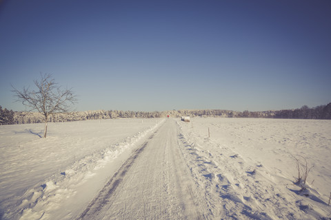 Deutschland, Landkreis Kaiserslautern, Pfälzerwald, Winterlandschaft bei Trippstadt, lizenzfreies Stockfoto