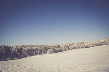 Deutschland, Landkreis Kaiserslautern, Pfälzerwald, Winterlandschaft bei Trippstadt - LVF002541