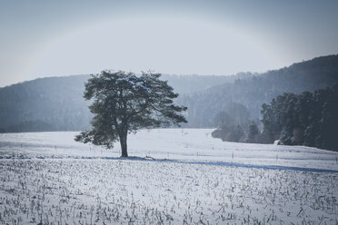 Germany, Kaiserslautern district, Palatinate Forest, winter landscape near Trippstadt - LVF002542