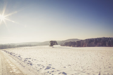 Deutschland, Landkreis Kaiserslautern, Pfälzerwald, Winterlandschaft bei Trippstadt - LVF002543