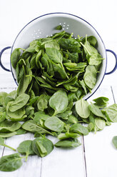 Colander and fresh spinach leaves - ODF000994