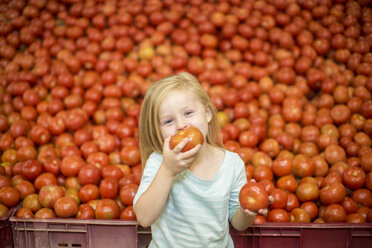 Kleines Mädchen vor einem Tomatenstand, das eine Tomate isst - ZEF004188