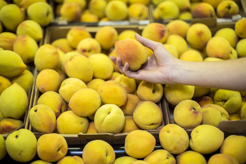 Pfirsiche von Hand pflücken am Obststand, lizenzfreies Stockfoto