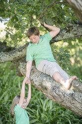 Junge und Mädchen spielen auf einem Baum - ZEF004365