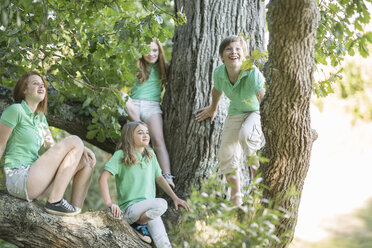 Vier Kinder beobachten etwas in einem Baum - ZEF004473