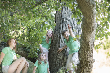 Vier Kinder beobachten etwas in einem Baum - ZEF004474