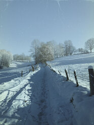 Deutschland, Pfälzerwald, Winterlandschaft - LVF002549