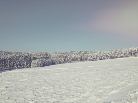 Deutschland, Pfälzerwald, Winterlandschaft, lizenzfreies Stockfoto
