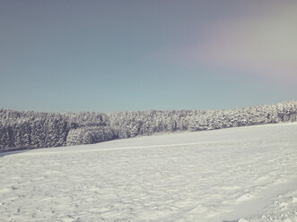 Deutschland, Pfälzerwald, Winterlandschaft - LVF002550