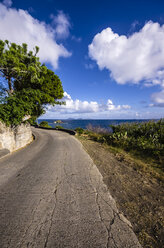 Caribbean, Antilles, Lesser Antilles, Grenadines, Bequia, coastal road - THAF001144