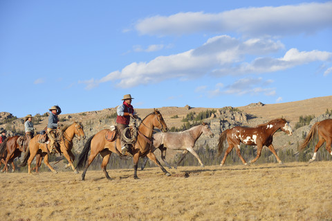 USA, Wyoming, Cowboy und Cowgirls hüten Pferde in der Wildnis, lizenzfreies Stockfoto