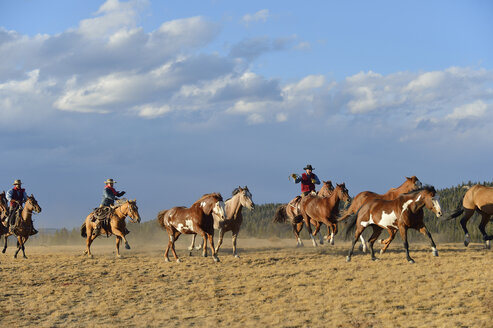 USA, Wyoming, Cowboys und Cowgirl hüten Pferde in der Wildnis - RUEF001418