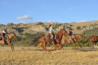 USA, Wyoming, Cowboys und Cowgirl hüten Pferde in der Wildnis - RUEF001380