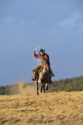 USA, Wyoming, reitender Cowboy, der das Lasso schwingt - RUEF001392