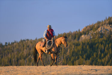 USA, Wyoming, reitender Cowboy im Abendlicht - RUEF001403