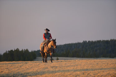 USA, Wyoming, Cowboyreiten im Abendlicht - RUEF001408