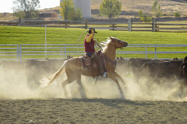 USA, Wyoming, Cowboy beim Rinderhüten - RUEF001348