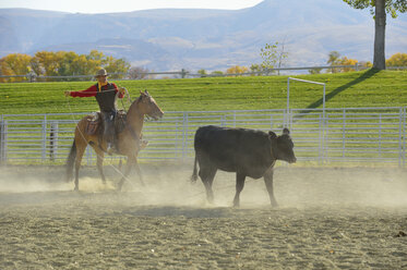 USA, Wyoming, Cowboy beim Rinderhüten - RUEF001350