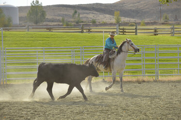 USA, Wyoming, Cowboy beim Rinderhüten - RUEF001351