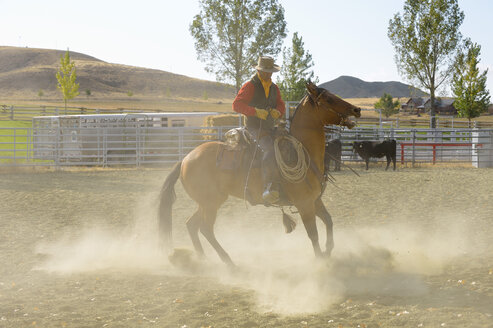 USA, Wyoming, Cowboy arbeitet mit Pferd - RUEF001352