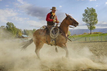 USA, Wyoming, Cowboy arbeitet mit Pferd - RUEF001356