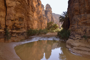 Algerien,Tassili n'Ajjer National Park, Oued Essendilene, Wasserloch in Oued Essendilene - ES001504