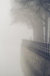 Germany, Hamburg, fog at Alster - KRP001247