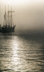 Deutschland, Hamburg, Segelschiff im Nebel - KRPF001278