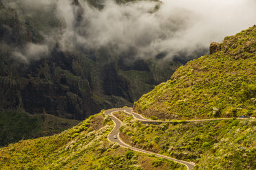 Spain, Canary Islands, Tenerife, Teno Mountains, Mountain road - WGF000565