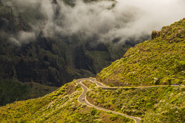 Spanien, Kanarische Inseln, Teneriffa, Teno-Gebirge, Bergstraße - WGF000565