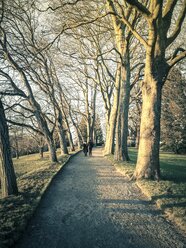 Deutschland, Landkreis Konstanz, Park mit Platanen - ELF001461