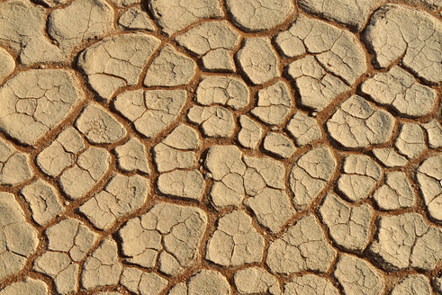 Afrika, Namibia, Sossusvlei, Dead Vlei, zerbrochene Oberfläche einer Salz- und Tonpfanne - ESF001511