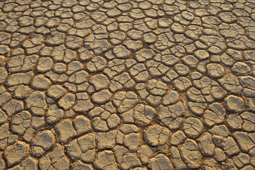 Afrika, Namibia, Sossusvlei, Dead Vlei, zerbrochene Oberfläche einer Salz- und Tonpfanne - ESF001512