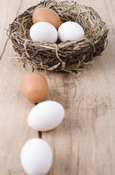 Brown egg and white eggs in a nest - ODF001024