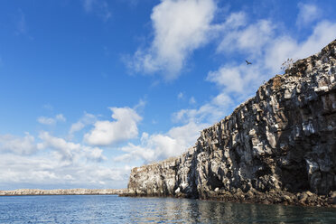 Südamerika, Ecuador, Galapagos, Insel Genovesa, Darwin Bay, Steilküste - FO007267