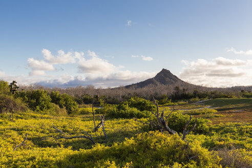 Ecuador, Galapagos-Inseln, Santa Cruz, Blick auf den Vulkan - FOF007273