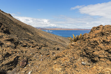 Ecuador, Galapagos-Inseln, Bartolome, Vulkanlandschaft mit Lavakaktus - FOF007286