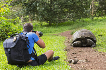 Ecuador, Galapagos-Inseln, Santa Cruz, Mann fotografiert Galapagos-Riesenschildkröte - FOF007307