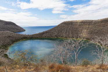 Ecuador, Galapagos-Inseln, Isabella-Insel, Tagus-Bucht, Darwin-See - FOF007319