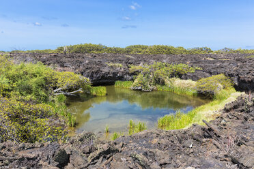 Ecuador, Galapagos-Inseln, Isabela, Lagune in einem Lavafeld - FOF007327