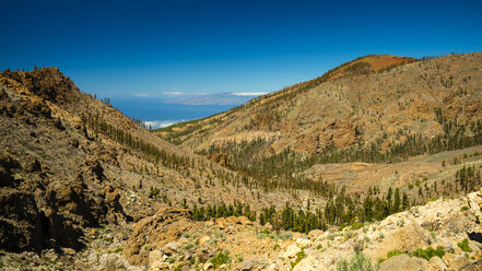 Spanien, Kanarische Inseln, Teneriffa, Nationalpark Canadas del Teide - WGF000574