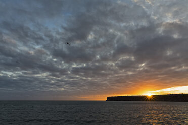 Pacific Ocean, Galapagos Islands, sunrise above island Plaza Sur - FOF007580