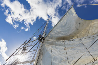 Rigging with sail of a sailing ship - FOF007540