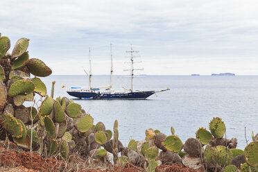 Pazifischer Ozean, Segelschiff bei der Insel Rabida mit Opuntia echios, Galapagos-Inseln - FOF007555