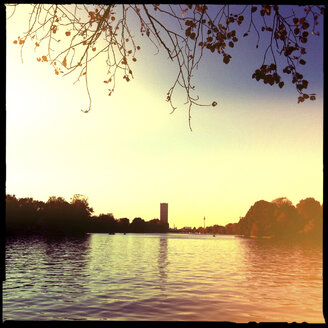 blätter, äste, natur, see, spree, koepenick, treptow, berlin, deutschland - LULF000162