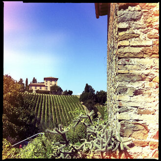 landschaft, sant andrea, weinhof, haus, toskana, italien - LULF000189